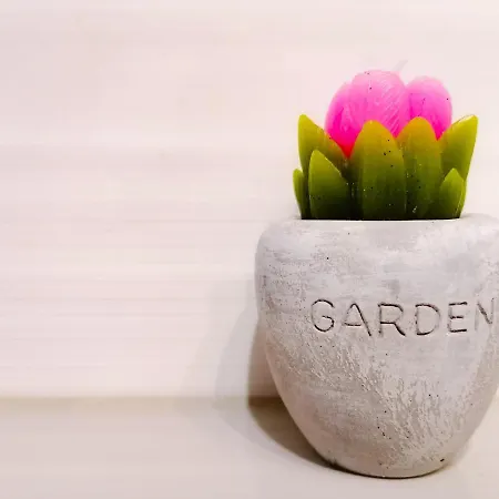 Apartamento Rest4all2